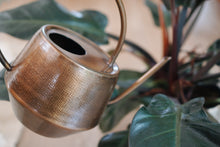 Iron Watering Can