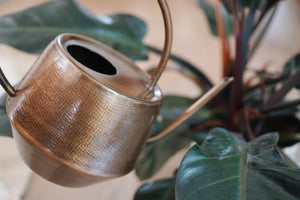 Iron Watering Can