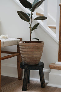 Hand-Carved Plant Stand