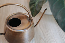 Iron Watering Can