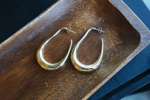 Edfina Earrings