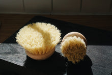 Mushroom Brush