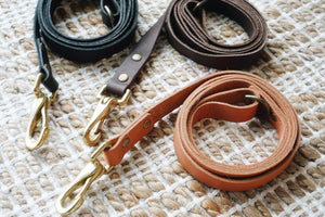 Chyen Leather Dog Leash