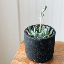 Small Ceramic Planter