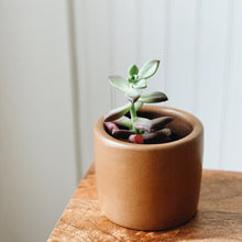 Small Ceramic Planter