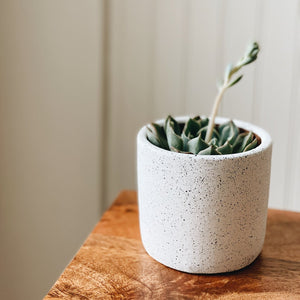 Small Ceramic Planter