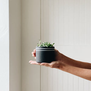 Small Ceramic Planter