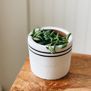 Small Ceramic Planter